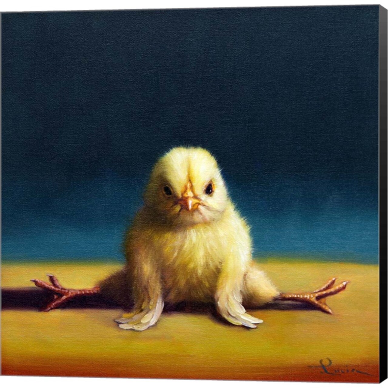Yoga Chick Front Split by Lucia Heffernan 12" x 12" Canvas Wall Art